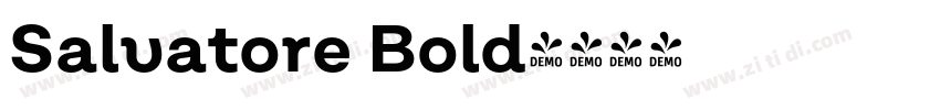 Salvatore Bold字体转换